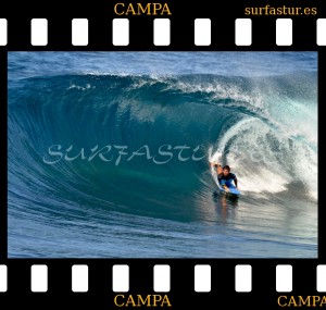 www.surfastur.es